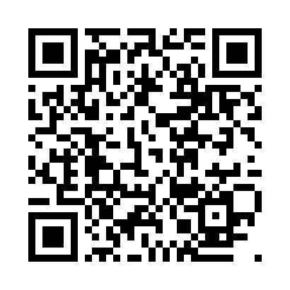 Official UPI QR Code